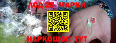 стаф Новозыбков