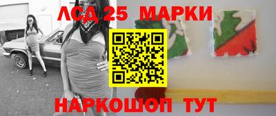 Альфа ПВП Новодвинск