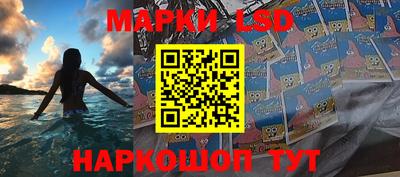 Альфа ПВП Новодвинск