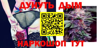Альфа ПВП Новодвинск