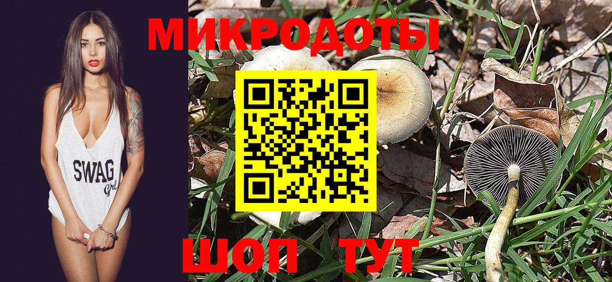 Альметьевск  Галлюциногенные грибы мухоморы  где продают   Вход с VPN 